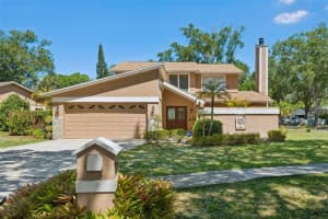 3103 Taragrove Dr, TAMPA
