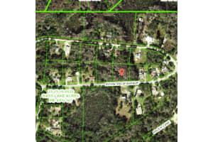 9805 ROYAL PALM AVENUE, NEW PORT RICHEY, FL 34654 - MLS#MFRTB8502836