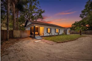 9408 N Orleans Ave, TAMPA