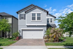 9707 WILD BEGONIA LOOP, LAND O LAKES, FL 34637 - MLS#MFRTB8502862