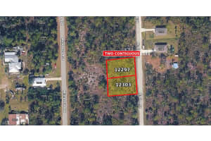 12297 and 12303 HINDLE AVENUE, PUNTA GORDA, FL 33955 - MLS#MFRTB8502873