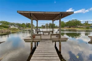 13338 Lake George Ln, TAMPA
