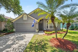 12324 Glenfield Ave, TAMPA