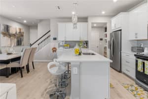 4062 CLOUD HOPPER WAY, LUTZ, FL 33559 - MLS#MFRTB8502918