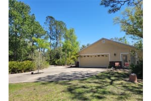 3150 APPALOOSA COURT, KISSIMMEE, FL 34746 - MLS#MFRTB8502920