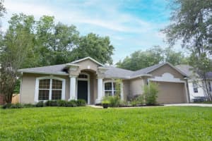 1511 Mccrea Dr, LUTZ
