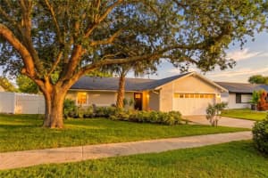 239 Myrtle Ct, PALM HARBOR