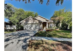 MLS# MFRTB8502978, Tampa, Florida 33647