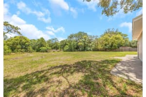 9224 ELZA STREET, NEW PORT RICHEY, FL 34654 - MLS#MFRTB8503046