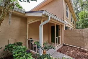 11905 LAKEMIST CIRCLE, TEMPLE TERRACE, FL 33617 - MLS#MFRTB8503073