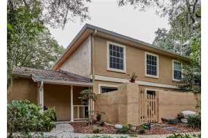 11905 LAKEMIST CIRCLE, TEMPLE TERRACE, FL 33617 - MLS#MFRTB8503073