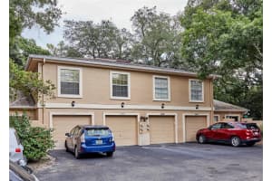 11905 LAKEMIST CIRCLE, TEMPLE TERRACE, FL 33617 - MLS#MFRTB8503073