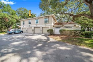 11857 NORTHTRAIL AVENUE, TEMPLE TERRACE, FL 33617 - MLS#MFRTB8503082