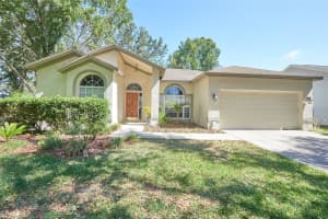 9302 Heritage Oak Ct, TAMPA 9302 Heritage Oak Ct, TAMPA