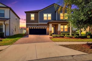 19419 Paddock View Dr, TAMPA