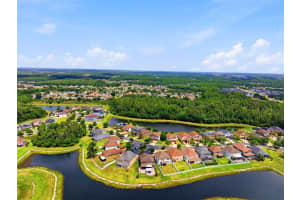 19419 PADDOCK VIEW DRIVE, TAMPA, FL 33647 - MLS#MFRTB8503200