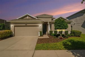 8044 Sequester Loop, LAND O LAKES 8044 Sequester Loop, LAND O LAKES