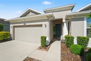 8044 SEQUESTER LOOP, LAND O LAKES, FL 34637 - MLS#MFRTB8503238