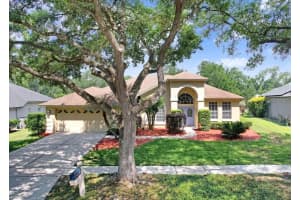 5326 Twin Creeks Dr, VALRICO