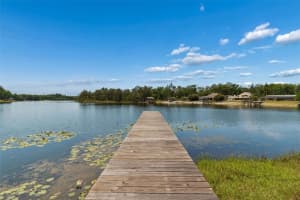 17129 RAINBOW TERRACE, ODESSA, FL 33556 - MLS#MFRTB8503270