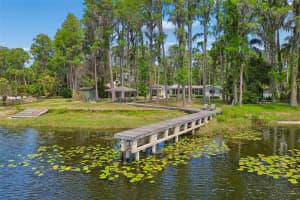 17129 RAINBOW TERRACE, ODESSA, FL 33556 - MLS#MFRTB8503270