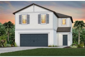 9911 Trellis Vine Way, PARRISH