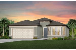 10037 Trellis Vine Way, PARRISH
