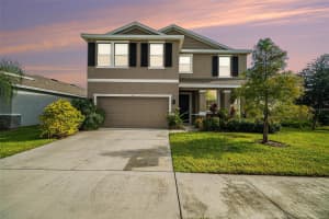 5430 THISTLE FIELD COURT, WESLEY CHAPEL, FL 33545 - MLS#MFRTB8503291