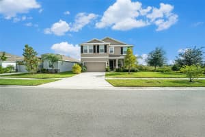 5430 THISTLE FIELD COURT, WESLEY CHAPEL, FL 33545 - MLS#MFRTB8503291