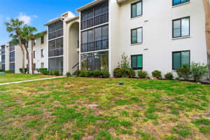 1871 PINE RIDGE WAY, PALM HARBOR, FL 34684 - MLS#MFRTB8503302