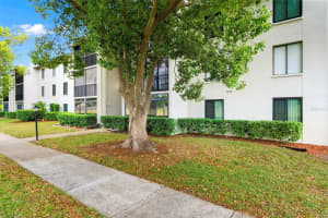 1871 PINE RIDGE WAY, PALM HARBOR, FL 34684 - MLS#MFRTB8503302