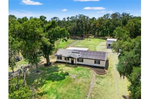 2111 HINSON ROAD, DOVER, FL 33527 - MLS#MFRTB8503335