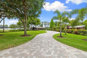 18520 WAYNE ROAD, ODESSA, FL 33556 - MLS#MFRTB8503345