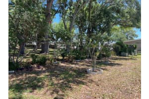 71 ROYAL PALM CIRCLE, LARGO, FL 33778 - MLS#MFRTB8503346