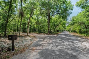8602 BONNIE COVE LANE, ODESSA, FL 33556 - MLS#MFRTB8503349