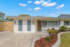 1824 DOUGLAS AVENUE, DUNEDIN, FL 34698 - MLS#MFRTB8503351