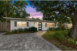 2920 W Ellis Dr, TAMPA