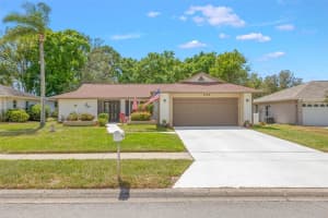 1756 MACDONNELL DRIVE, PALM HARBOR, FL 34684 - MLS#MFRTB8503363