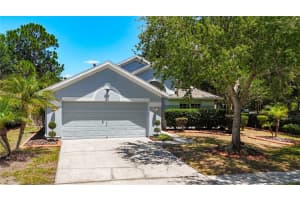 6711 Somerset Garden Way, APOLLO BEACH