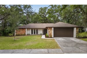 56 BAY WOODS DRIVE, SAFETY HARBOR, FL 34695 - MLS#MFRTB8503388