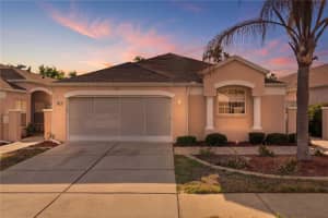 295 ROYAL PALM WAY, SPRING HILL, FL 34608 - MLS#MFRTB8503412