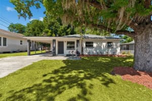 11206 N Arden Ave, TAMPA