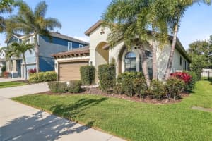 6318 SPRINGLINE PLACE, APOLLO BEACH, FL 33572 - MLS#MFRTB8503487
