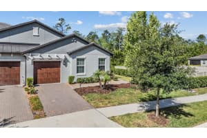 16595 Shell Bay Dr, LAND O LAKES
