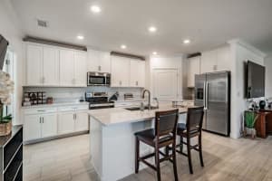 16595 SHELL BAY DRIVE, LAND O LAKES, FL 34638 - MLS#MFRTB8503488