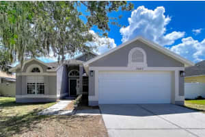 11027 Streamside Dr, TAMPA