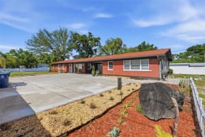 10107 N Aster Ave, TAMPA