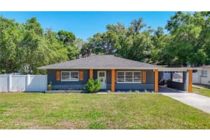 135 Connie Ave, TAMPA