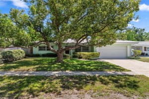 1413 EMBASSY DRIVE, CLEARWATER, FL 33764 - MLS#MFRTB8503509