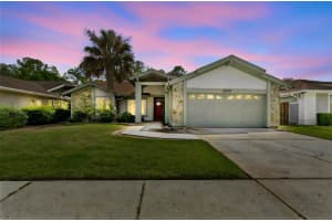 14675 Village Glen Cir, TAMPA